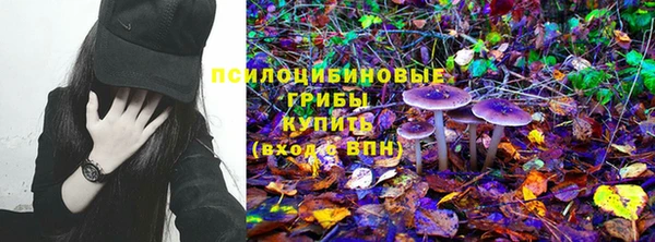 дживик Алексеевка