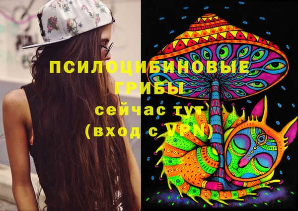 ГАЛЛЮЦИНОГЕННЫЕ ГРИБЫ Алексин