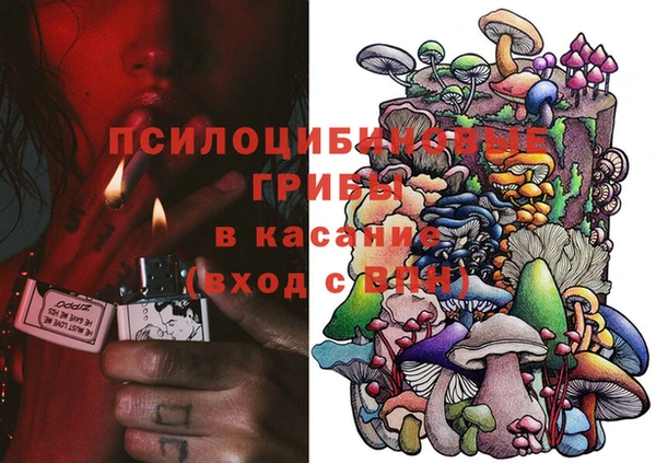 ГАЛЛЮЦИНОГЕННЫЕ ГРИБЫ Алексин
