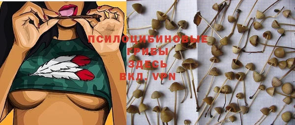 jwh Алзамай