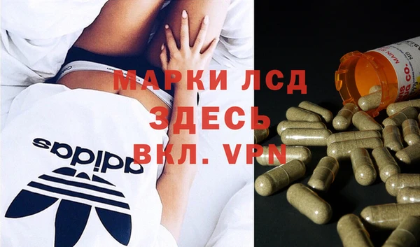 ГАЛЛЮЦИНОГЕННЫЕ ГРИБЫ Алексин