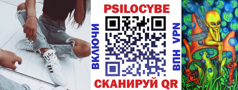 купить наркоту  Тосно  Псилоцибиновые грибы прущие грибы 