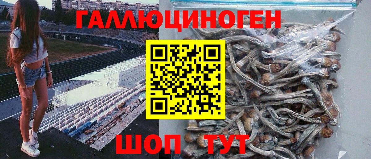 Галлюциногенные грибы мухоморы Тосно