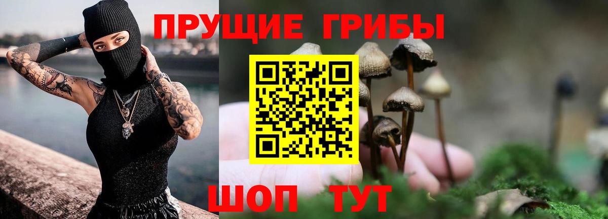 Галлюциногенные грибы Psilocybe  Вход с VPN  Псилоцибиновые грибы Psilocybe  Тосно 